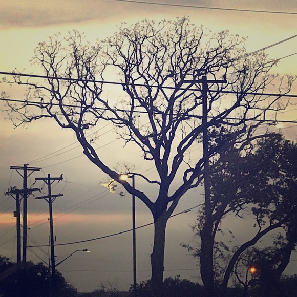 Meet your Posher, Ely - Picture 1 of 1